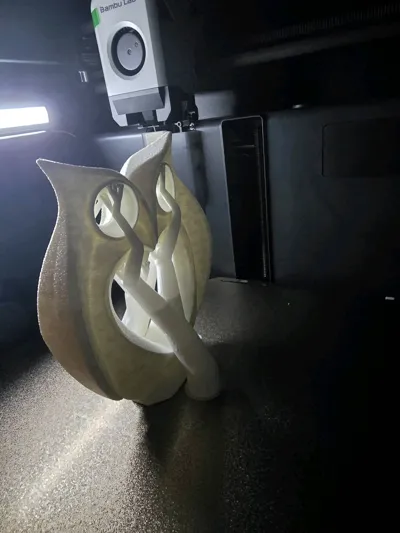 https://makerworld.bblmw.com/makerworld/model/1080190/1071786/ratings/d4c09a00-94bc-11f0-b893-2db54c26894e.jpg