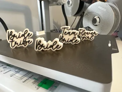 https://makerworld.bblmw.com/makerworld/model/1081009/1072761/ratings/e75c8180-70bb-11f0-844e-bb0da850b254.jpg