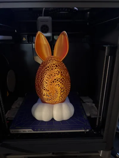 https://makerworld.bblmw.com/makerworld/model/1081145/1072908/ratings/7b40eed0-f83a-11f0-86ff-1386c3466c06.jpg
