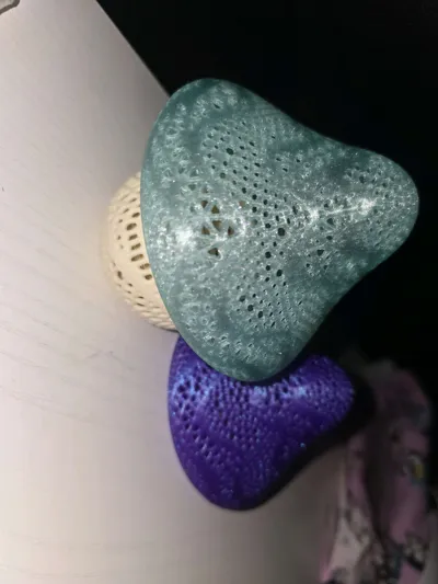 https://makerworld.bblmw.com/makerworld/model/1081170/1072934/ratings/3706ac30-7989-11f0-a82c-674818b5f3c5.jpg
