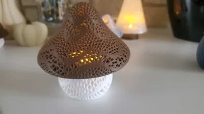 https://makerworld.bblmw.com/makerworld/model/1081170/1072934/ratings/40134470-be24-11f0-b1d9-7dd0e918ad71.jpg