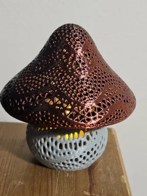 https://makerworld.bblmw.com/makerworld/model/1081170/1072934/ratings/8c678a50-ffa4-11ef-9c0d-d93231882e92.jpg