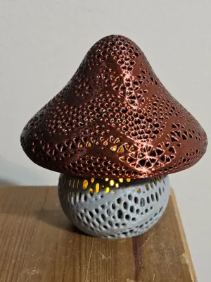 https://makerworld.bblmw.com/makerworld/model/1081170/1072934/ratings/8c6c1e30-ffa4-11ef-9c0d-d93231882e92.jpg
