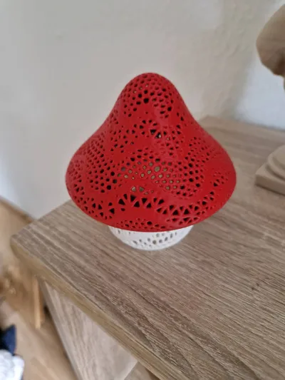 https://makerworld.bblmw.com/makerworld/model/1081170/1072934/ratings/e5fd9820-92c5-11f0-812d-ab21e9c2d435.jpg