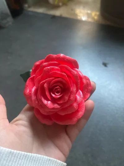 https://makerworld.bblmw.com/makerworld/model/1081202/1072969/ratings/1709bd80-9f5b-11f0-93cf-3f129fab246d.jpg