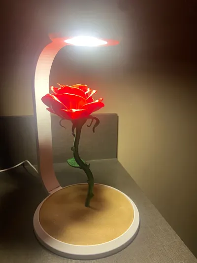 https://makerworld.bblmw.com/makerworld/model/1081202/1072969/ratings/50974530-e421-11f0-8bd9-2fe3b0cecbef.jpg