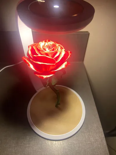 https://makerworld.bblmw.com/makerworld/model/1081202/1072969/ratings/50a500d0-e421-11f0-8bd9-2fe3b0cecbef.jpg