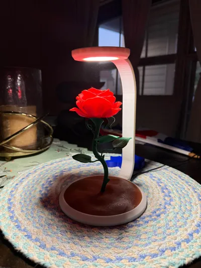https://makerworld.bblmw.com/makerworld/model/1081202/1072969/ratings/7625d3d0-1d38-11f0-b718-57e1261ebf0a.jpg