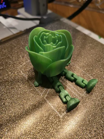https://makerworld.bblmw.com/makerworld/model/1082548/1074634/ratings/7e476c30-ab87-11f0-add4-5939874cf835.jpg