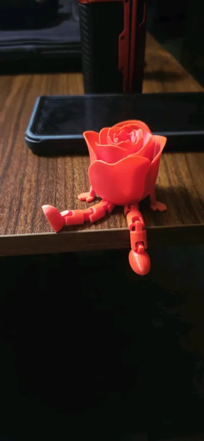 https://makerworld.bblmw.com/makerworld/model/1082548/1074634/ratings/8e7bafa0-98f7-11f0-9031-9feedf6139f7.jpg