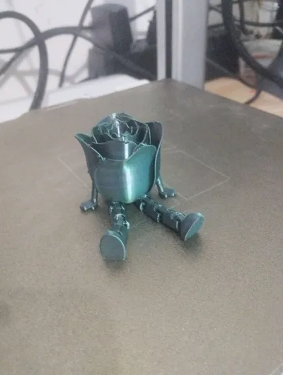 https://makerworld.bblmw.com/makerworld/model/1082548/1074634/ratings/90b0a4d0-1420-11f0-a66b-a3e4510562e6.jpg