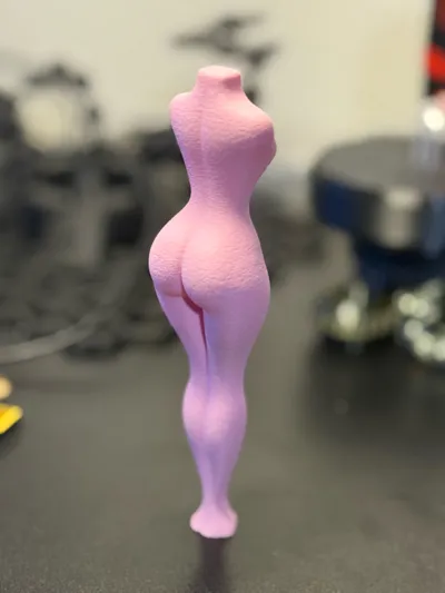 https://makerworld.bblmw.com/makerworld/model/1082741/1074873/ratings/318647f0-2648-11f0-b1a0-29a34f34b423.jpg