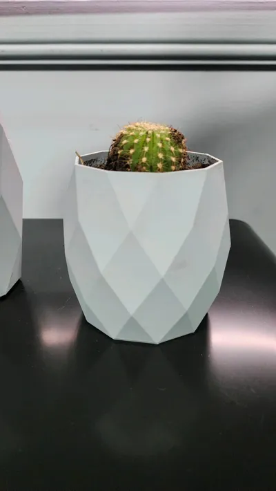https://makerworld.bblmw.com/makerworld/model/1083983/1081557/ratings/34e734c0-71cc-11f0-80bc-c7c1e555836e.jpg