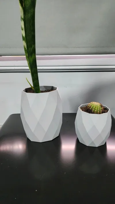 https://makerworld.bblmw.com/makerworld/model/1083983/1081557/ratings/34e90980-71cc-11f0-80bc-c7c1e555836e.jpg