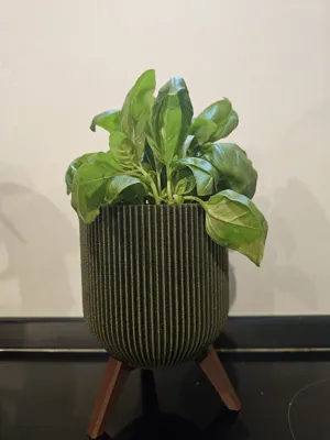 https://makerworld.bblmw.com/makerworld/model/1084190/1076686/ratings/64a46760-08ee-11f0-924b-7d9a223fe3c0.jpg
