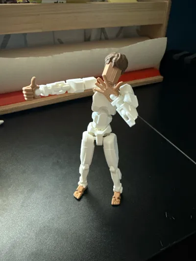 https://makerworld.bblmw.com/makerworld/model/1084195/1076644/ratings/0c00e8f0-967d-11f0-b7ff-97958eb5f31f.jpg