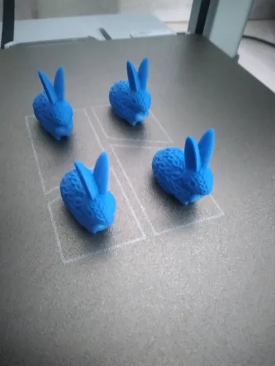 https://makerworld.bblmw.com/makerworld/model/1084437/1076951/ratings/0f54e220-1afb-11f0-88e2-e53c9a43028e.jpg