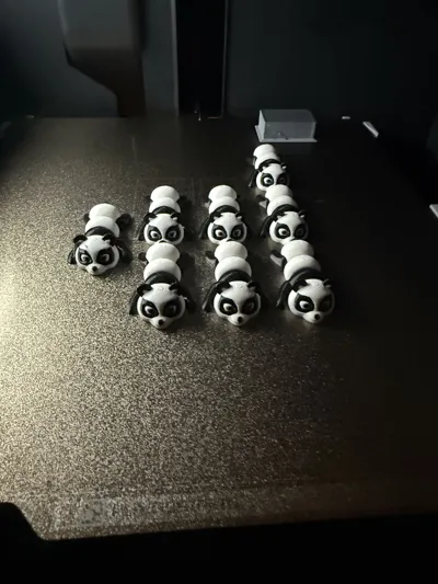 https://makerworld.bblmw.com/makerworld/model/1084489/1077114/ratings/ee3b79a0-0344-11f0-9bb4-eb3de111f0e5.jpg