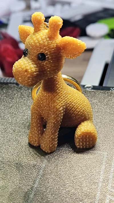 https://makerworld.bblmw.com/makerworld/model/1085687/1078418/ratings/59c88790-3026-11f0-9659-759693d84187.jpg