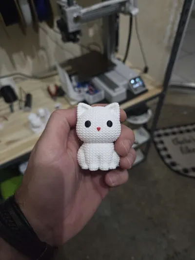 https://makerworld.bblmw.com/makerworld/model/1085872/1078642/ratings/5937e0c0-7408-11f0-82c4-4557a05e6858.jpg