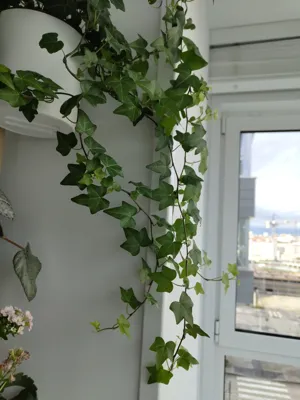 https://makerworld.bblmw.com/makerworld/model/1085885/1739722/ratings/ca55a130-d2ad-11f0-a126-e935271ef991.jpg