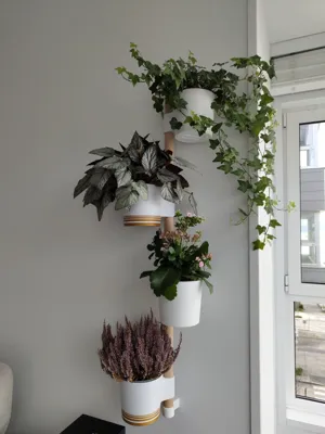 https://makerworld.bblmw.com/makerworld/model/1085885/1739722/ratings/ca5ca610-d2ad-11f0-a126-e935271ef991.jpg