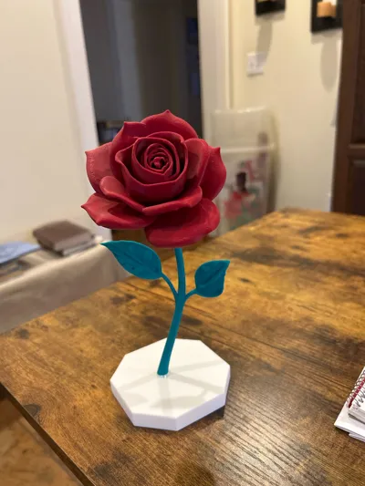 https://makerworld.bblmw.com/makerworld/model/1086055/1078858/ratings/2518ff90-f95f-11f0-ac30-532524130c6a.jpg