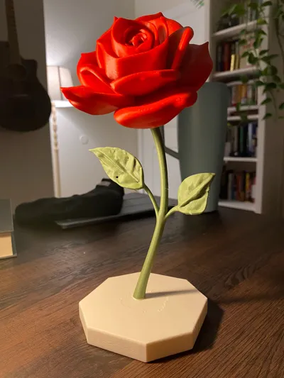 https://makerworld.bblmw.com/makerworld/model/1086055/1078858/ratings/aafde900-be30-11f0-aa67-9d873ab8b177.jpg