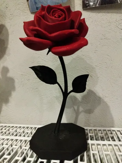 https://makerworld.bblmw.com/makerworld/model/1086055/1078858/ratings/d5dbed00-6504-11f0-9aa0-894a7877c2e6.jpg