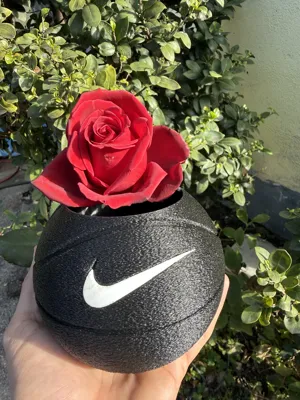 https://makerworld.bblmw.com/makerworld/model/1086704/1079618/ratings/2026-01-20_ac95b80b0f573.jpeg