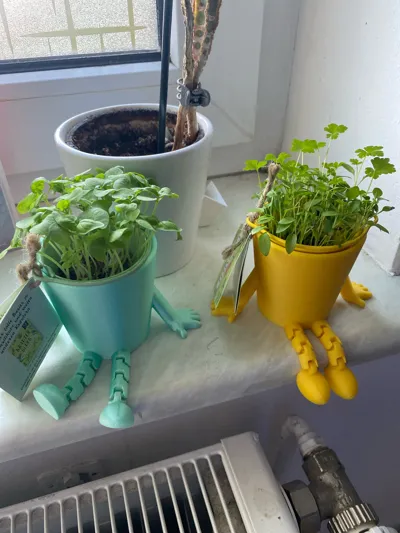 https://makerworld.bblmw.com/makerworld/model/1087443/1080437/ratings/438f92a0-371c-11f0-a723-8bdf43894006.jpg