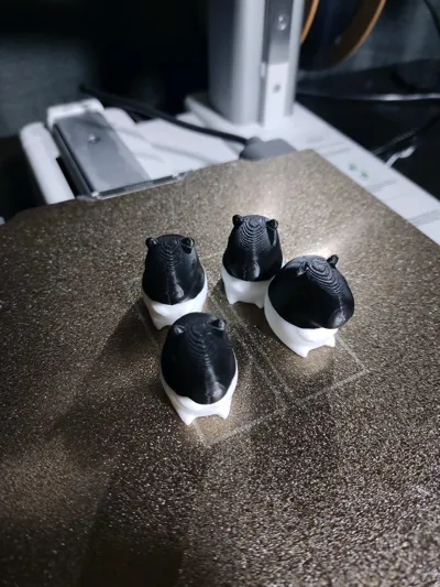 https://makerworld.bblmw.com/makerworld/model/1087902/1080981/ratings/3482f5b0-8549-11f0-81da-113d93332428.jpg
