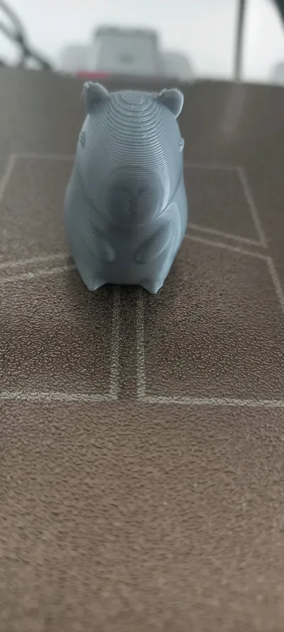 https://makerworld.bblmw.com/makerworld/model/1087902/1080981/ratings/fe54f9c0-5eec-11f0-922f-c3dd851ca3e6.jpg