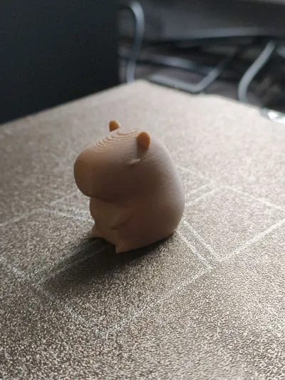 https://makerworld.bblmw.com/makerworld/model/1087902/1080985/ratings/06638490-5508-11f0-81cb-6999c82c920d.jpg