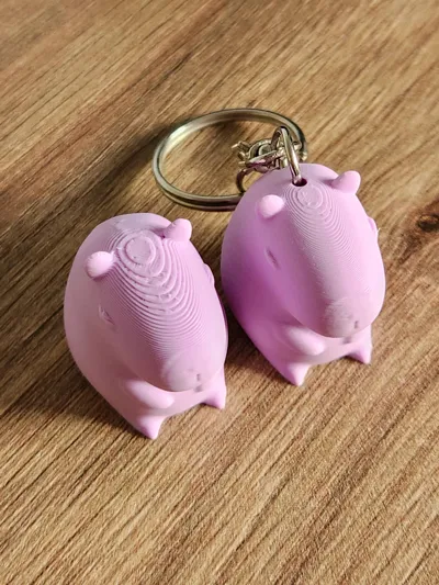 https://makerworld.bblmw.com/makerworld/model/1087902/1080985/ratings/1723da20-9b06-11f0-b59a-4f0fa123e5de.jpg