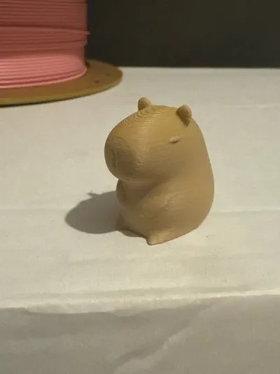 https://makerworld.bblmw.com/makerworld/model/1087902/1080985/ratings/8be3a7c0-26c9-11f0-972e-99acd6b79316.jpg