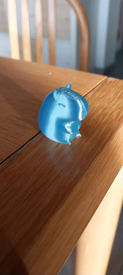 https://makerworld.bblmw.com/makerworld/model/1087902/1095842/ratings/fd08a860-de48-11f0-963c-cb5e5f57aeb3.jpg