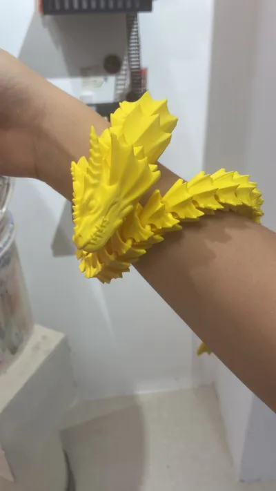 https://makerworld.bblmw.com/makerworld/model/1088711/1081786/ratings/c8f297c0-6bc0-11f0-af8f-1b5c59618142.jpg