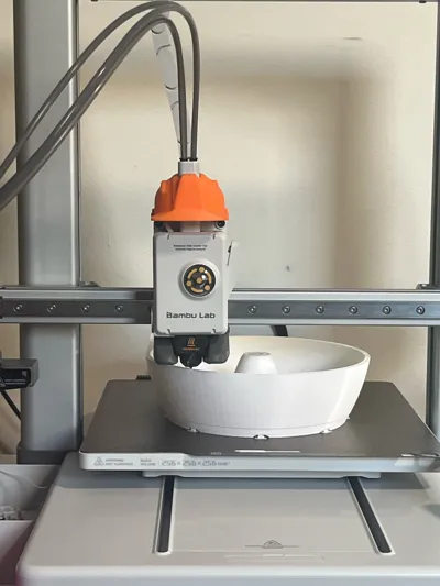 https://makerworld.bblmw.com/makerworld/model/1089447/1082643/ratings/2e733df0-5750-11f0-b62c-6f52798af497.jpg