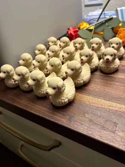 https://makerworld.bblmw.com/makerworld/model/1090203/1083537/ratings/4604a8d0-efcd-11f0-a290-bf9eb5bd92c9.jpg