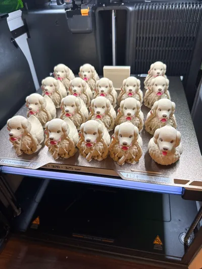 https://makerworld.bblmw.com/makerworld/model/1090203/1083537/ratings/4604f6f0-efcd-11f0-a290-bf9eb5bd92c9.jpg