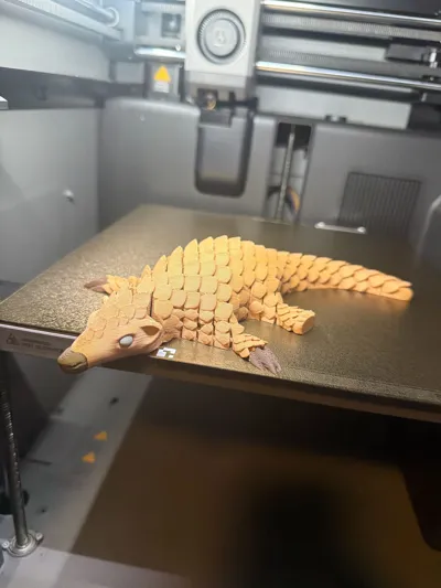 https://makerworld.bblmw.com/makerworld/model/1090887/1084361/ratings/4b613710-d8c3-11f0-9d8a-d57840bddae6.jpg