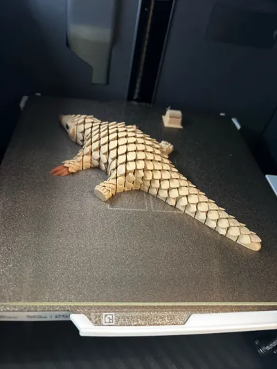 https://makerworld.bblmw.com/makerworld/model/1090887/1084361/ratings/cf0dfa20-eb0c-11f0-80c1-a71701d56e6f.jpg