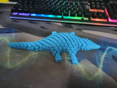 https://makerworld.bblmw.com/makerworld/model/1090887/1084404/ratings/d5eda500-0ff9-11f0-95dd-e137e6b88909.jpg