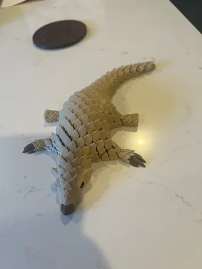 https://makerworld.bblmw.com/makerworld/model/1090887/1084404/ratings/ef487600-f2f8-11f0-928e-add7c9aa6513.jpg