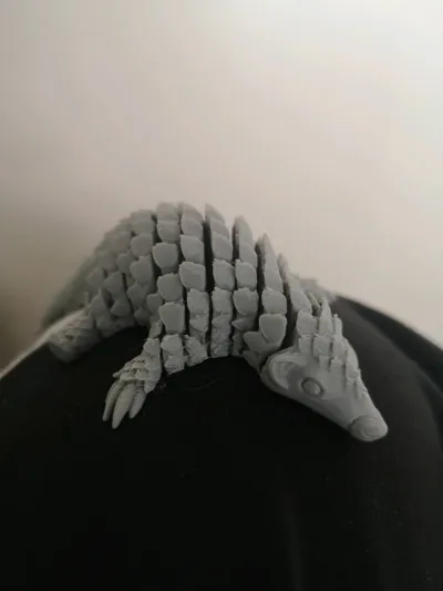 https://makerworld.bblmw.com/makerworld/model/1090887/1093475/ratings/34d82c10-28fb-11f0-90fd-d3d8b59dd080.jpg