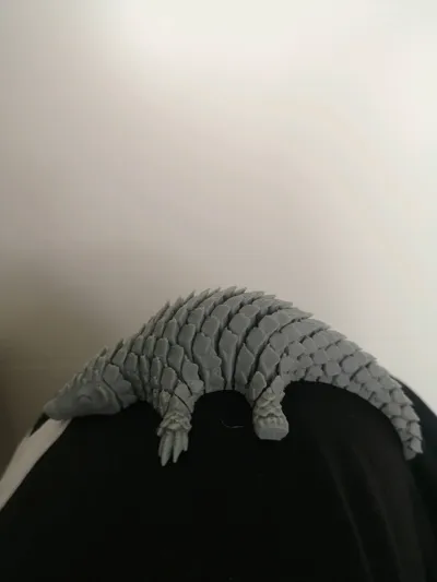 https://makerworld.bblmw.com/makerworld/model/1090887/1093475/ratings/34dc71d0-28fb-11f0-90fd-d3d8b59dd080.jpg