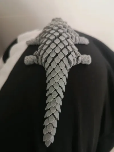 https://makerworld.bblmw.com/makerworld/model/1090887/1093475/ratings/34ddd160-28fb-11f0-90fd-d3d8b59dd080.jpg