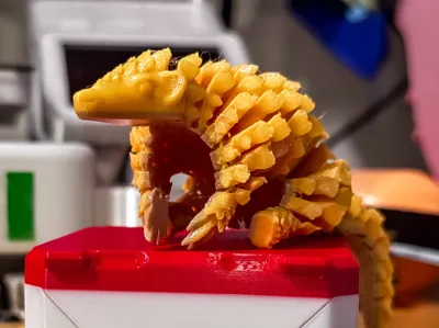 https://makerworld.bblmw.com/makerworld/model/1090887/1093475/ratings/8bc1e160-fd68-11ef-a079-6fedba7180c2.jpg