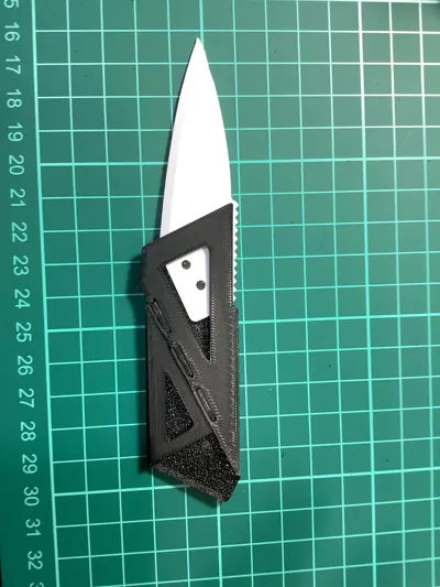 https://makerworld.bblmw.com/makerworld/model/1092420/1086106/ratings/13a3c9c0-b170-11f0-af2a-c1c0f56189d3.jpg